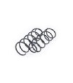 Arcuri Fata  PEUGEOT 406 1995-2004 Febest 2508-010F-KIT