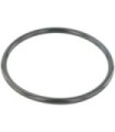 O-Ring Clapeta Acceleratie  Febest RINGAH-034